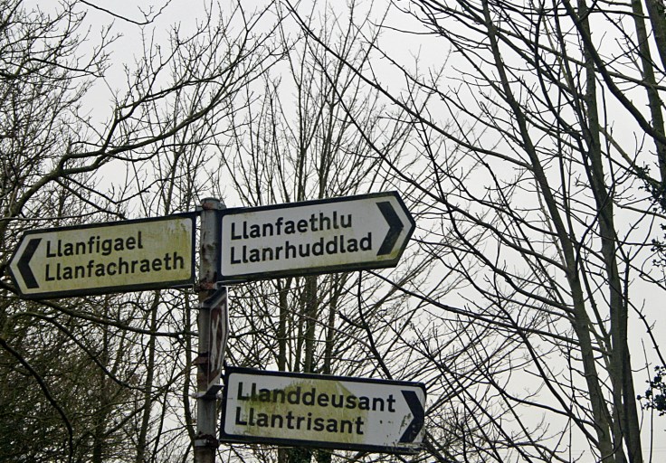 Sometimes it was hard to get our bearings.....