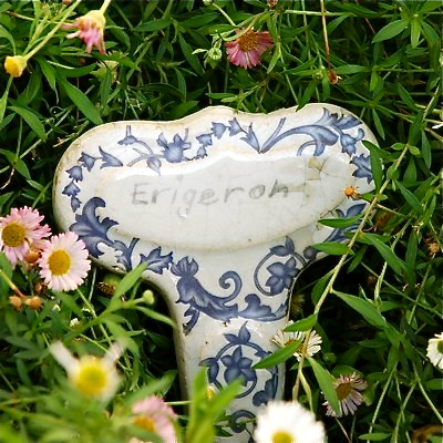 Garden Boutique ceramic plant labels