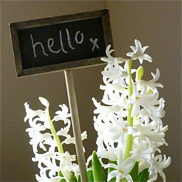 Home and Dreams blackboard plant marker