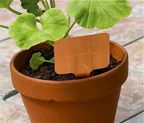 Plant Me Now copper plant labels