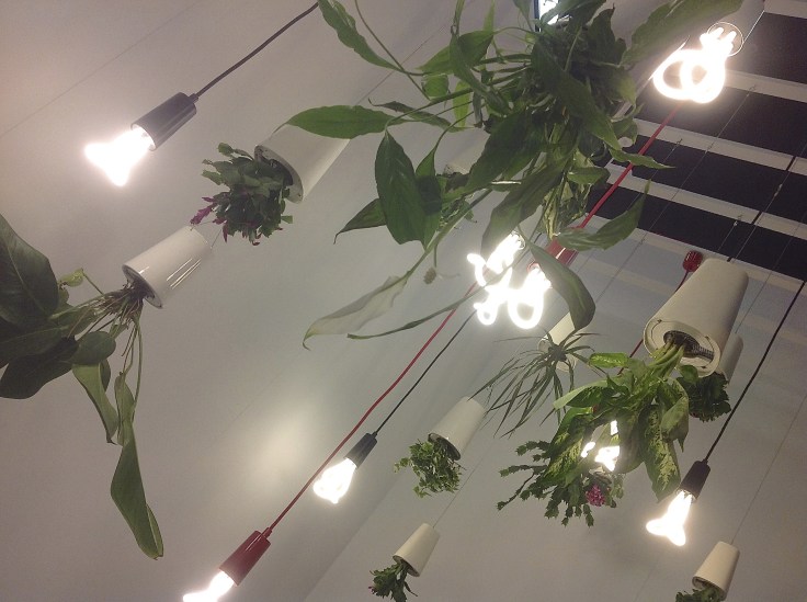 Plumen lamps in Boskke Sky Planters