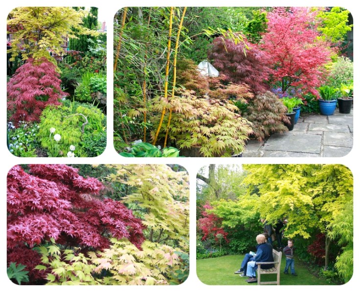 Heatons Open Garden day May 2013 by Moregeous