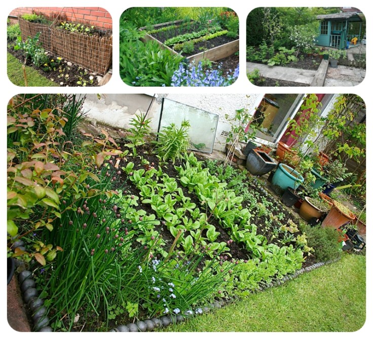 Heatons Open Garden day May 2013 by Moregeous