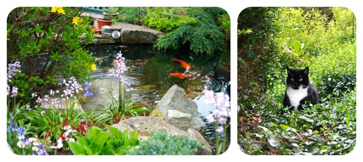 Heatons Open Garden day May 2013 by Moregeous