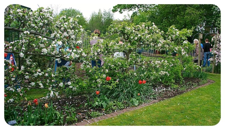 Heatons Open Garden day May 2013 by Moregeous