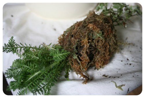 How to make Japanese Kokedama Moss Balls