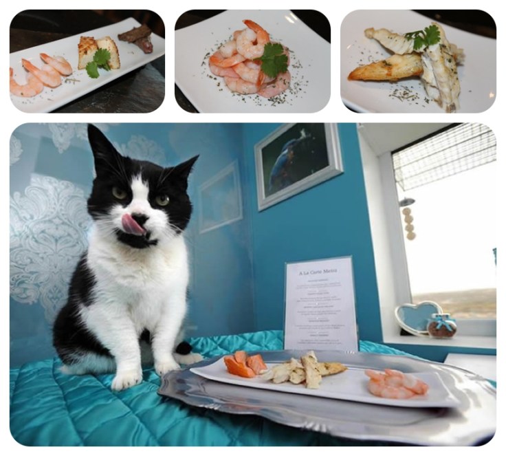 Mmmmmmm, a la carte prawns :-)