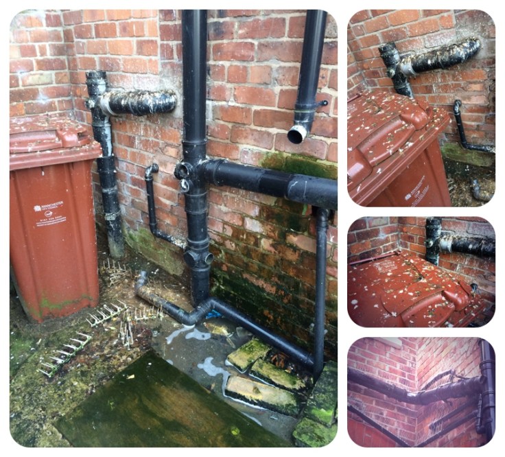 Ash Residential Manchester property