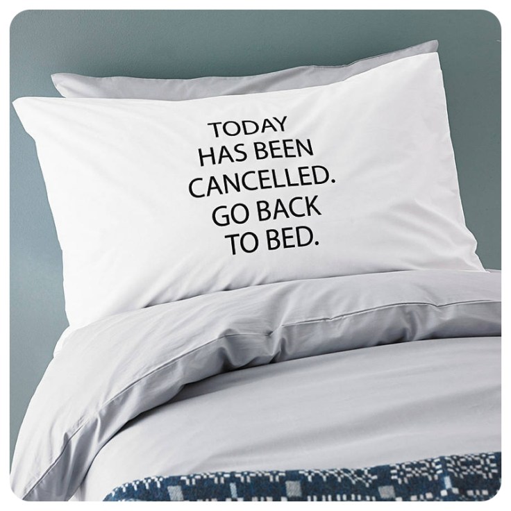 Minna's Room Today Has Been Cancelled pillow