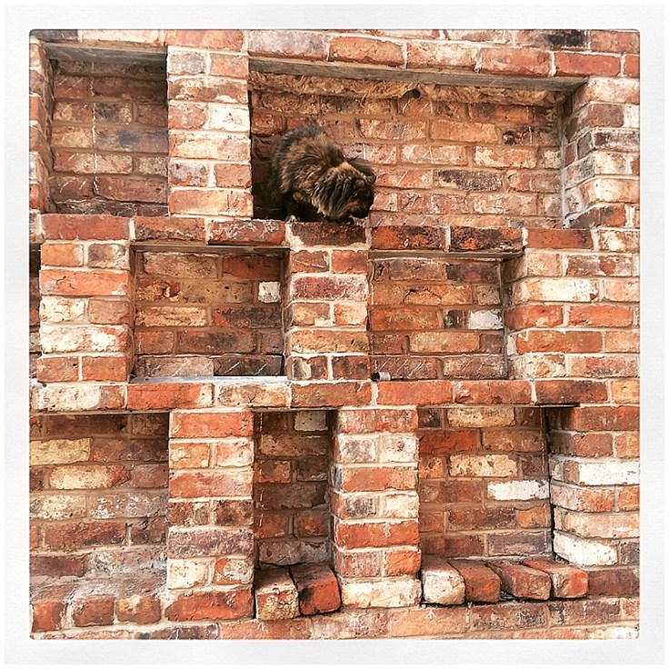 Box wall built out of reclaimed brick