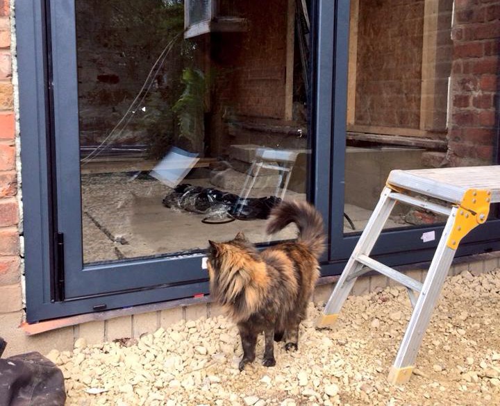 1506593_801342396586924_5318150192999745130_n