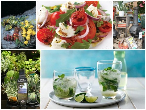 Entertaimning with a Herby Cooks Kitchen