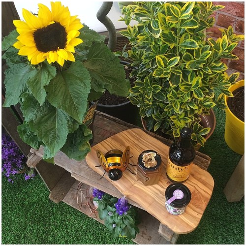 Sian Astley Moregeous Bee-friendly Garden space for Bents