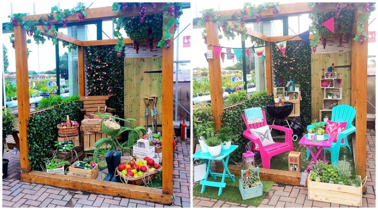 Herby colourful garden in fuchsia and turquoise