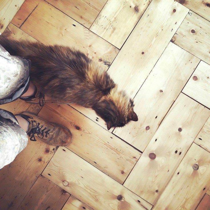 moregeous-giant-parquet